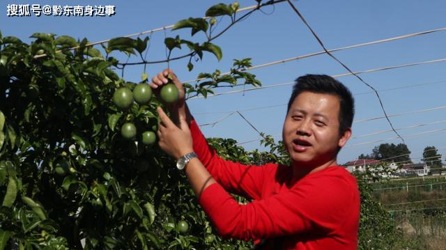 州大坝生产的蔬菜瓜果 在省外太“俏市”ag旗舰厅手机客户端厉害：贵州黄平旧(图3)